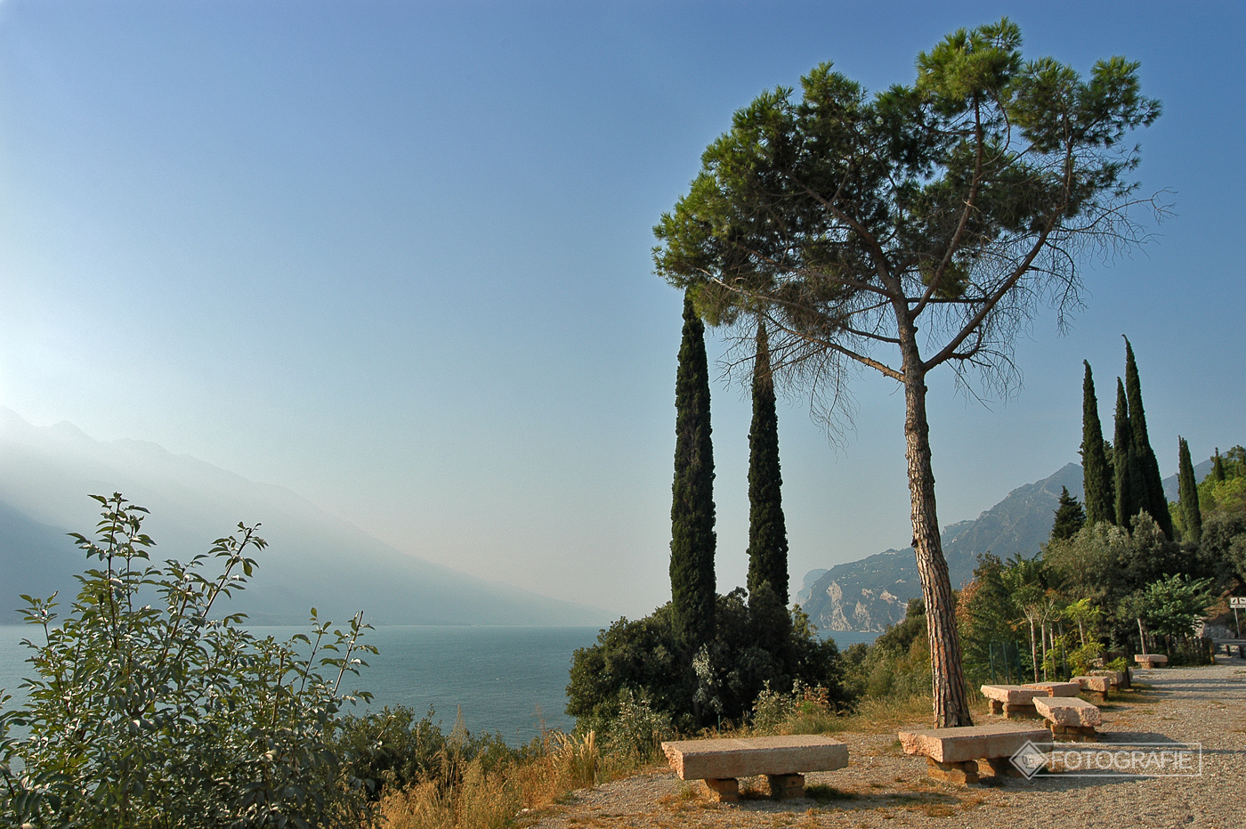 Lagodigarda 003