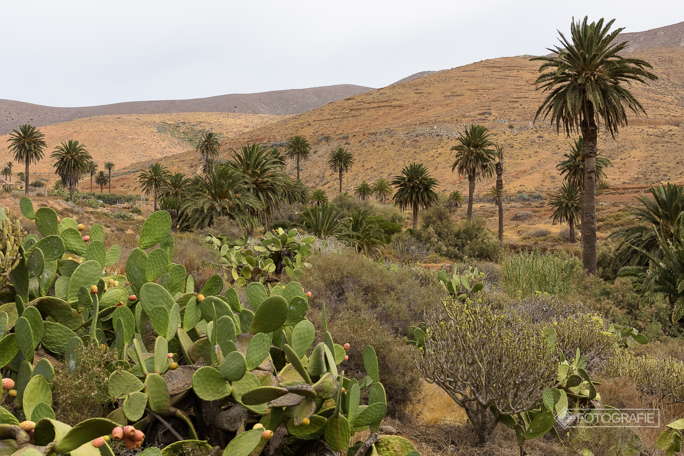 Fuerteventura