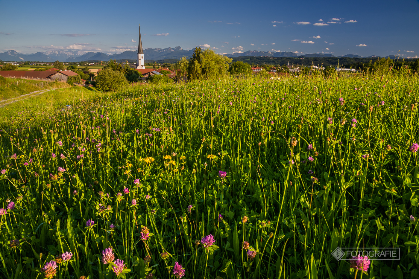 Kirchdorf am Haupold, Hügel